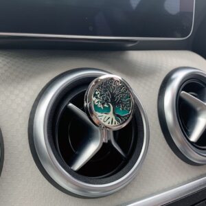 Car Diffuser Kit – Angel Wings – 30mm