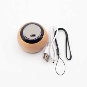 Wooden Mandela Effect Mini Speaker