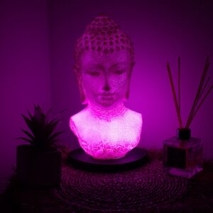 Buddha Bust Lamp Cherry Crackle – Oval stand